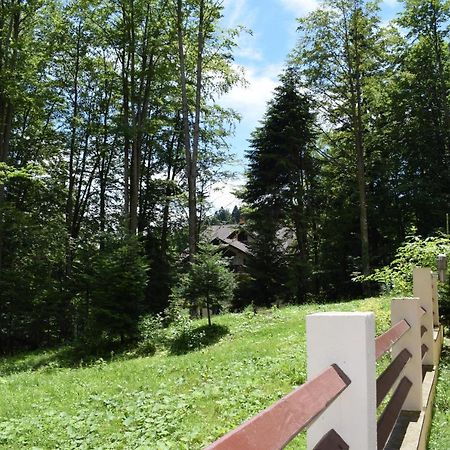 Alpin Residence Синая Экстерьер фото