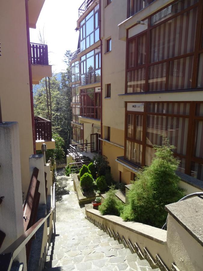 Alpin Residence Синая Экстерьер фото
