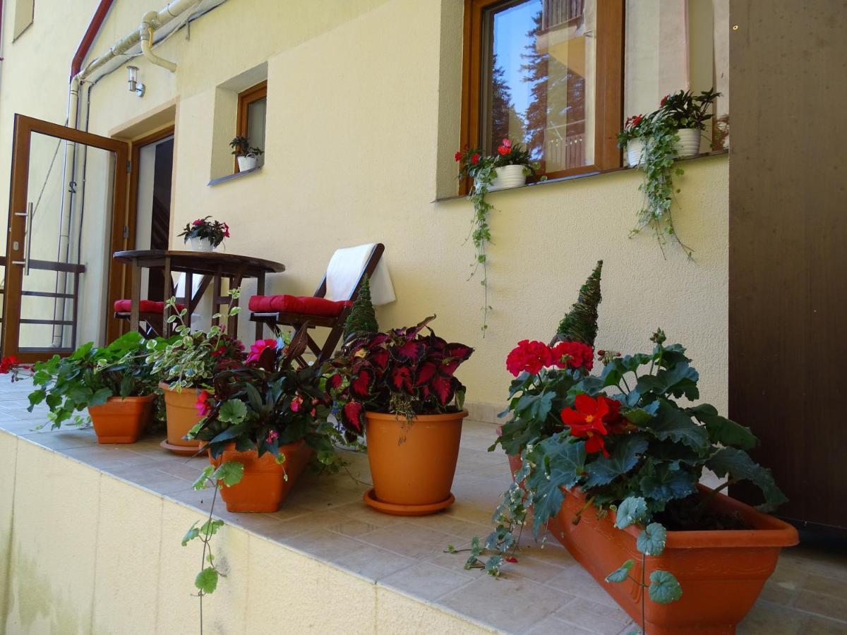 Alpin Residence Синая Экстерьер фото