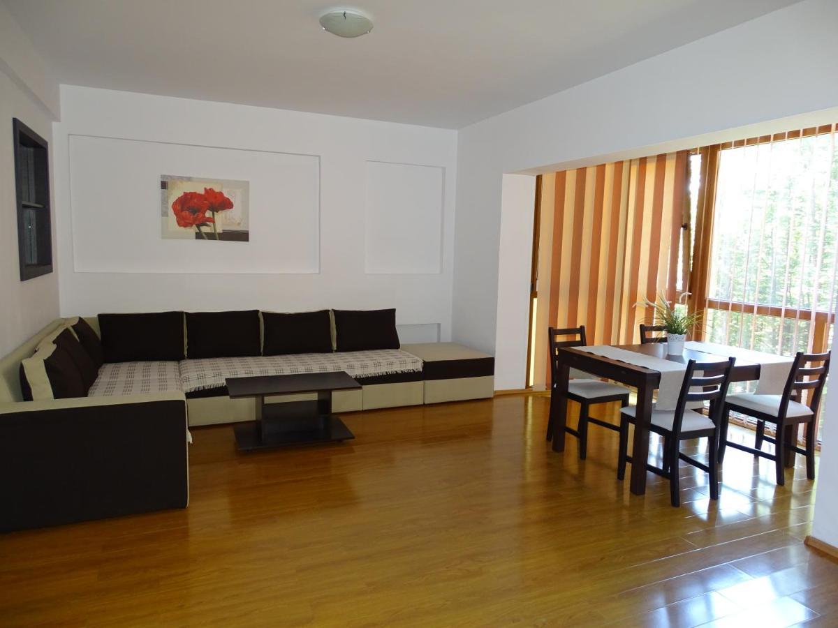 Alpin Residence Синая Экстерьер фото