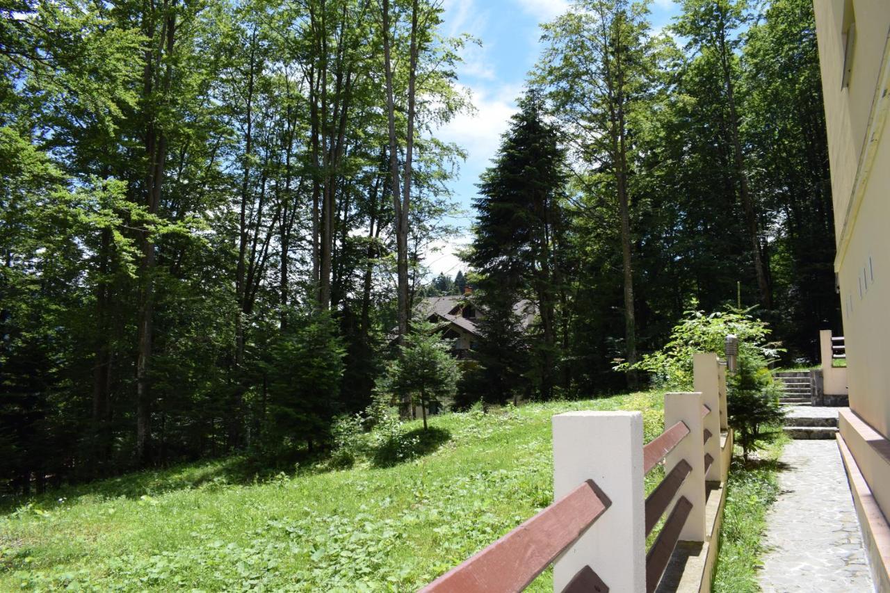 Alpin Residence Синая Экстерьер фото