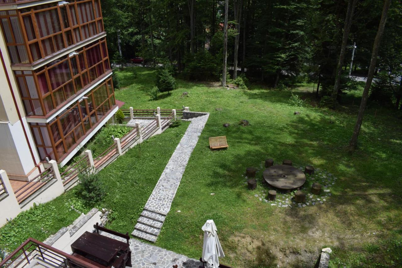 Alpin Residence Синая Экстерьер фото