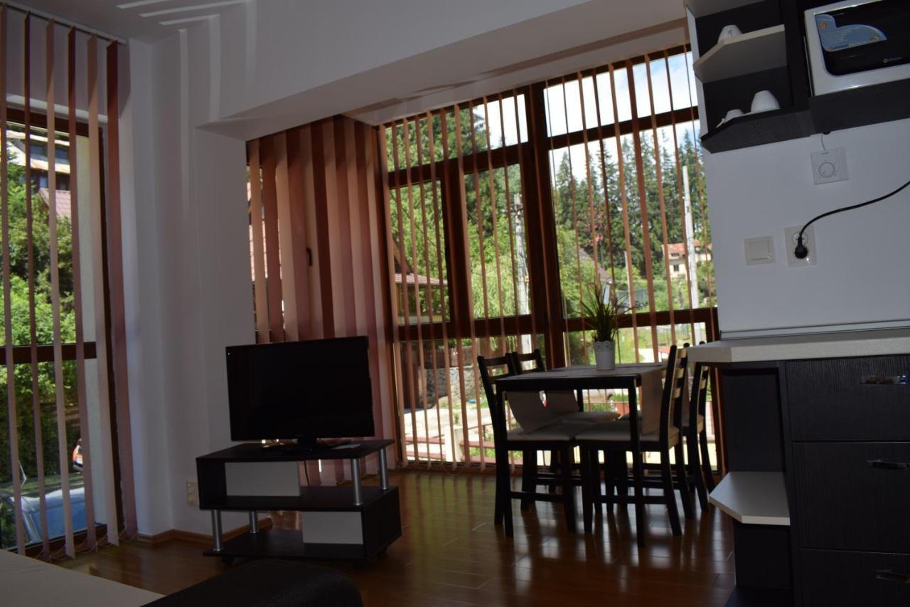 Alpin Residence Синая Экстерьер фото