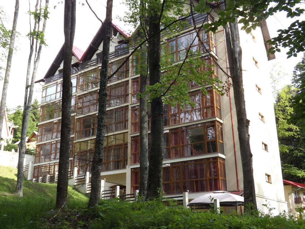 Alpin Residence Синая Экстерьер фото